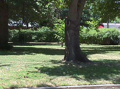 3rd image of 1440 Beverly Hills St Lot 2