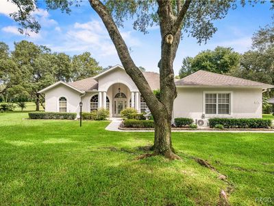 171 E Joplin Ct, Hernando, FL, 34442