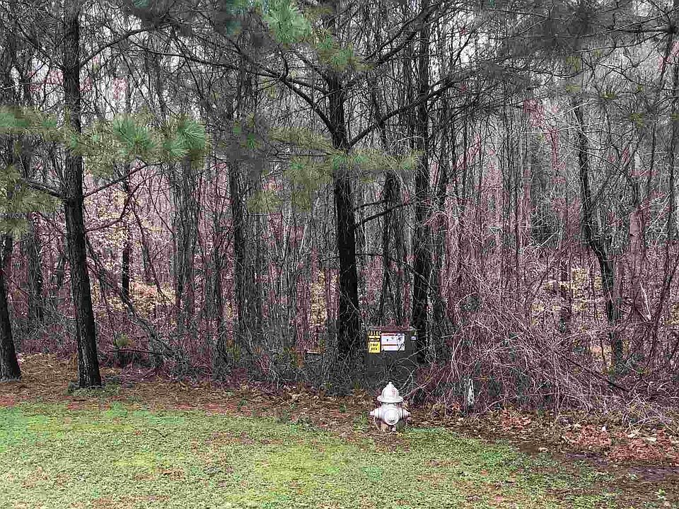2nd image of 181 Andrew Ct
