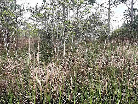 3rd image of 5500 Blk Bob O Link Rd