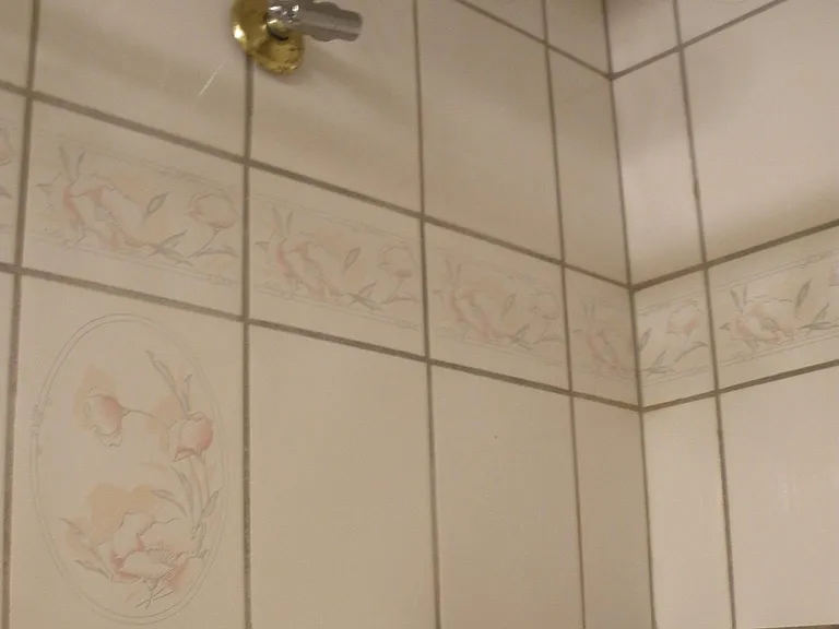 Shower in Master bathroom.