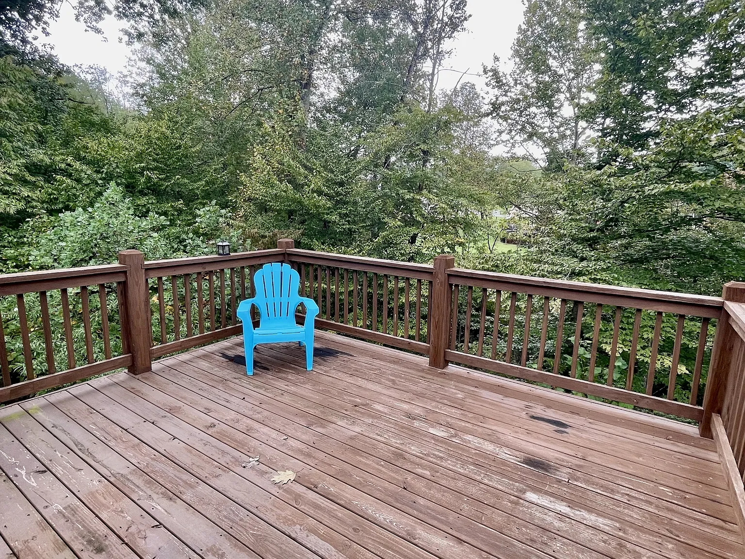 124 Palmer Drive - 1 — Photo 3