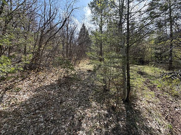 4th image of 1300 Swan Creek Ln