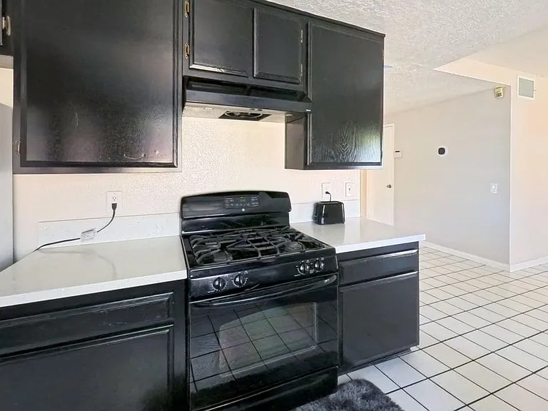 12658 Heartleaf St — Photo 10
