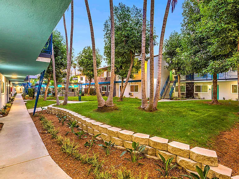 The Island Apartments courtyard grass lawn and palm trees