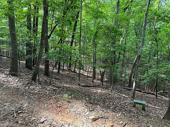 4th image of 13 Pickelsimer Mountain Ln