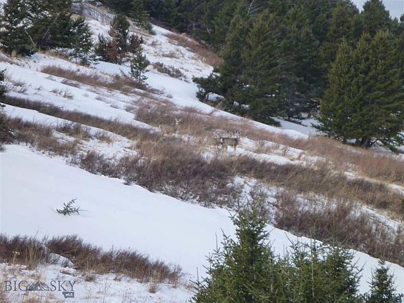 3rd image of Tbd Mustang Hl
