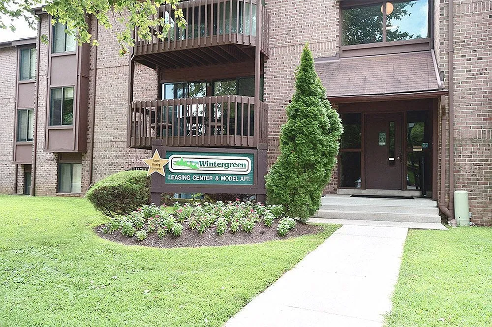 Wintergreen — Photo 1