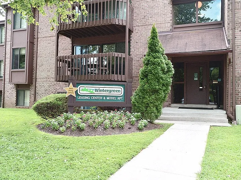 Wintergreen — Photo 1