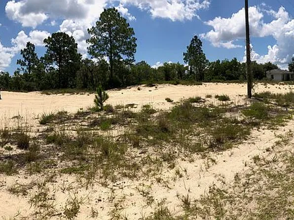 Lemon Dr, Lake Wales, FL 33898