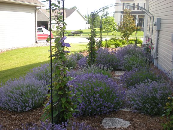 Perennial Strolling Garden