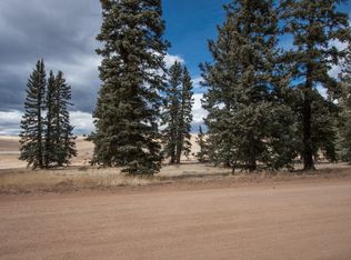197 Joshua Rd, Divide, CO 80814