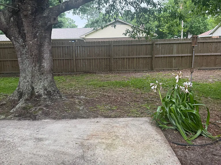 15303 Northwood Hills Dr — Photo 3