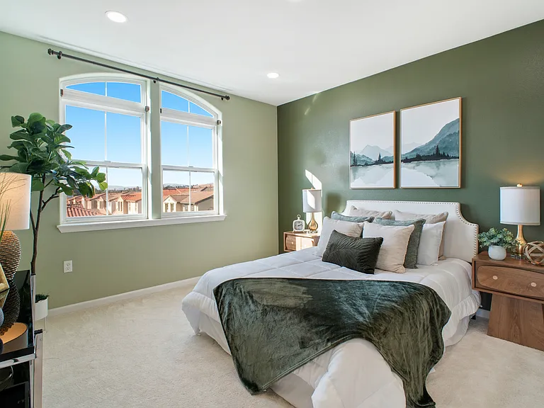 49002 Cinnamon Fern Cmn #402 — Photo 32