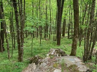 29 & 30 Buckeye Ln, Banner Elk, NC 28604