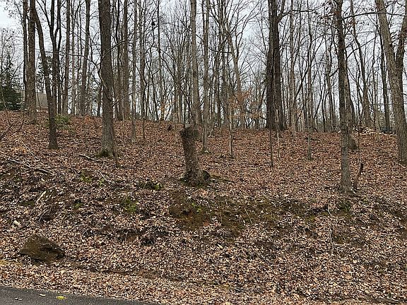 5th image of 0 Hickory Nut Trl #12