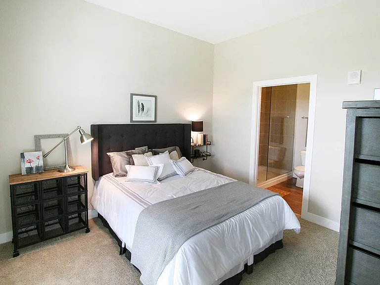 Plush California Berber carpet in bedrooms