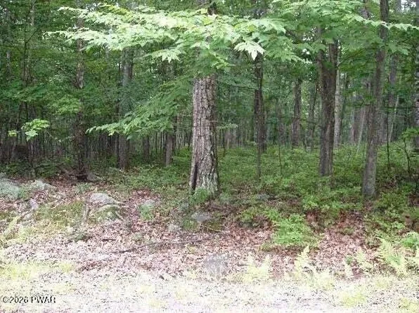 Woodledge Rd, Hawley, PA 18428