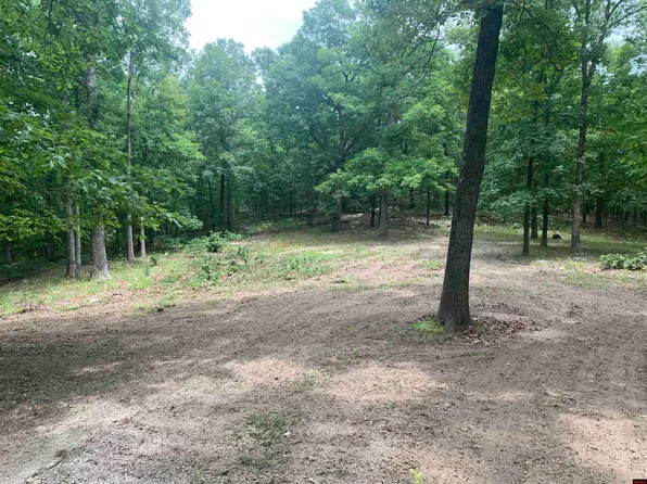 923 Falling Tree Ln, Flippin, AR 72634