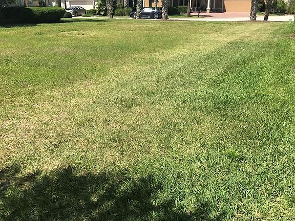 2nd image of 36 Sandpiper Ln