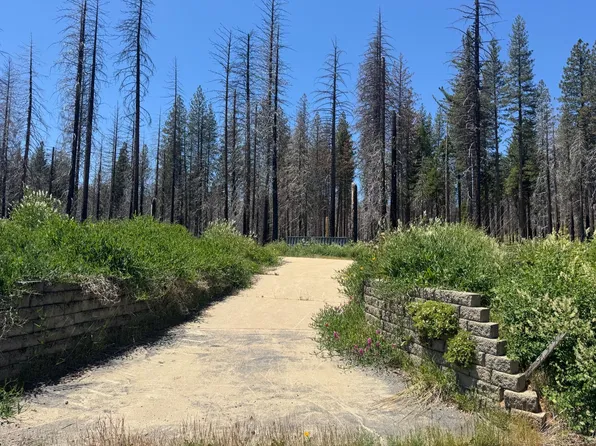5309 Golden Aspen Dr, Grizzly Flats, CA 95636
