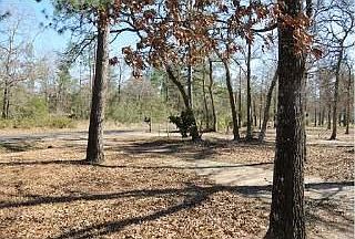 2nd image of 7027 County Road 302