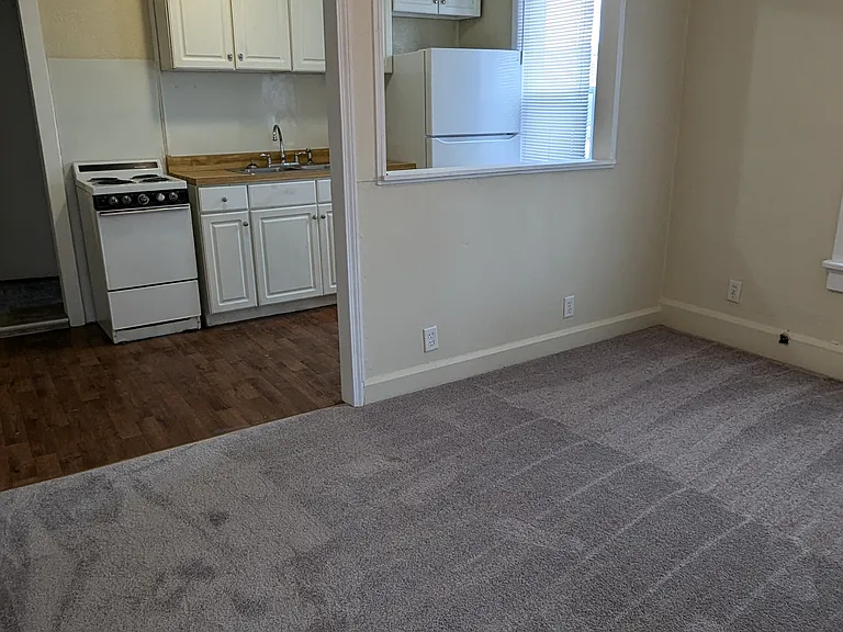 Living room and kitchen