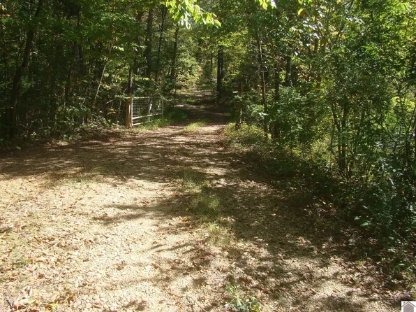 509 Caledonia Rd, Cadiz, KY 42211