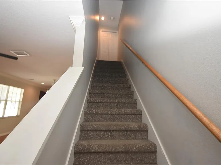 4901 Elizabeth Anne Cir — Photo 7