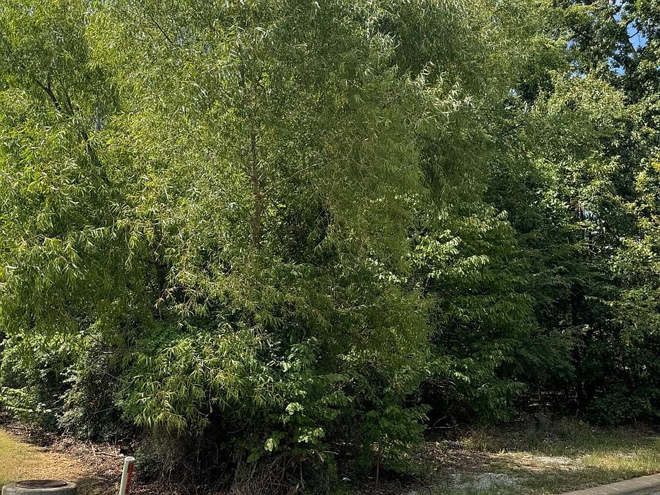 2nd image of 2401 Sea Island Dr