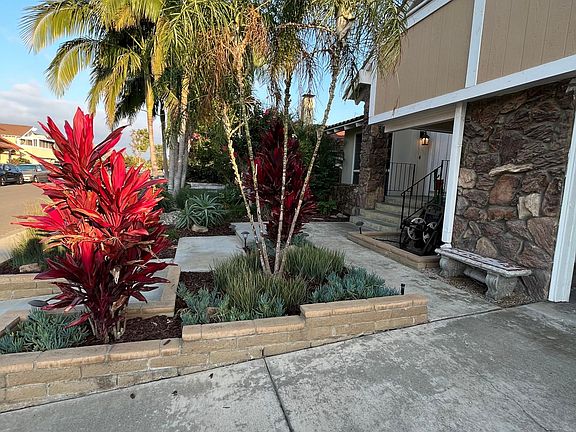 Captivating Curb Appeal Showcasing Tropical Landscaping