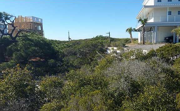 3rd image of 115 Gulf Hibiscus Dr