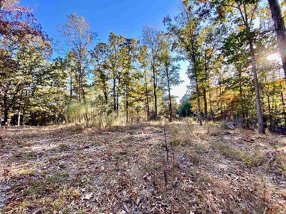 2nd image of 33.32 Acres Green Dr