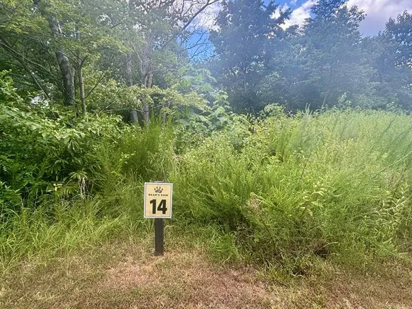 260 Running Bear Rdg, Ellijay, GA 30536