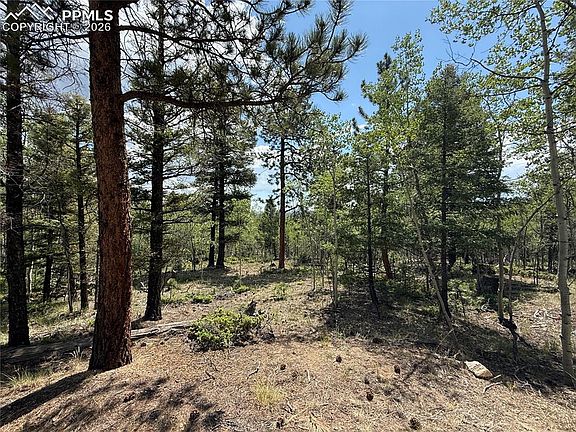 5th image of 242 Apache Creek Dr