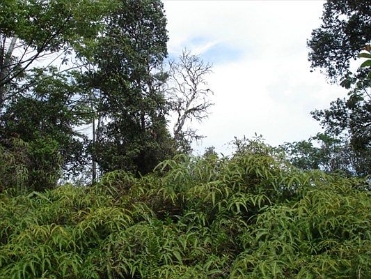 2nd image of Kehaulani St Lot 14