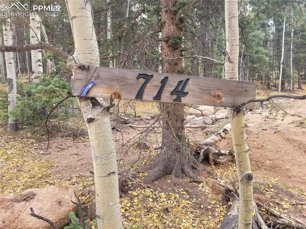 714 Will Stutley Dr, Divide, CO 80814