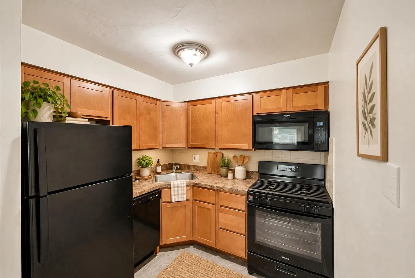 South Mountain Apartment Homes — Photo 3