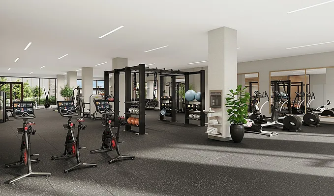 Rented by Gotham Organization | media 7