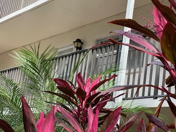 840 Virginia St APT 202, Dunedin, FL 34698