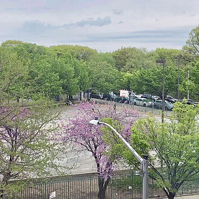 Sold by Ann Ferguson, LLC | media 1