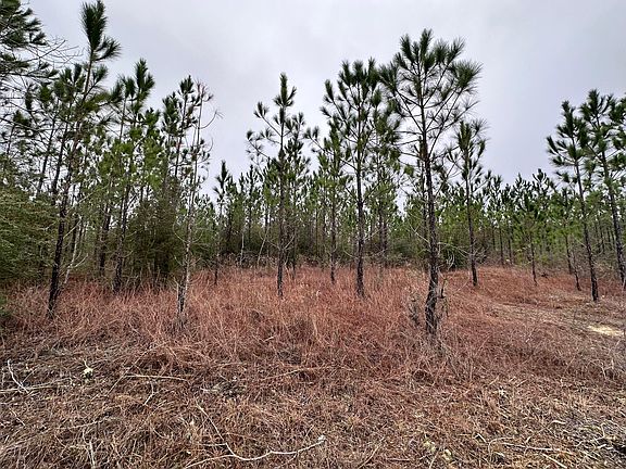 2nd image of TRACT 6418 S Mattox Springs Rd #S4