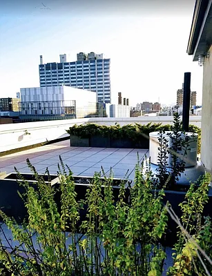 Rented by New York Residence | media 42