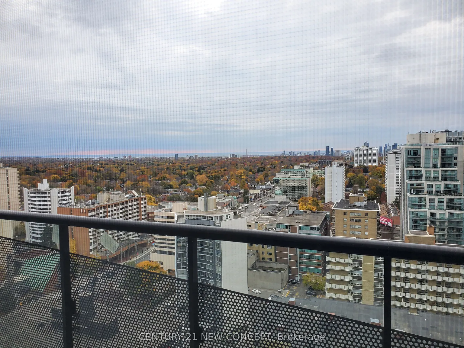 Line5 South — Photo 4