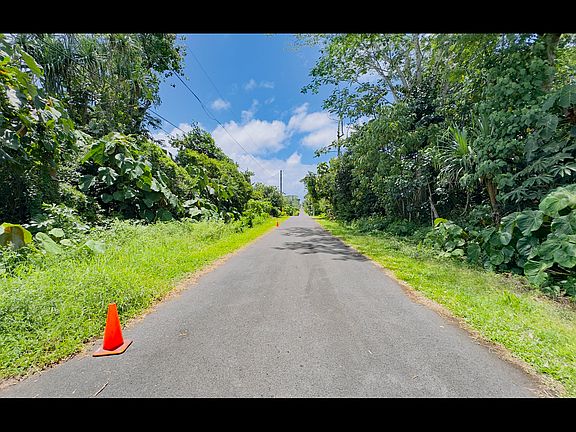 5th image of Opakapaka St Lot 8