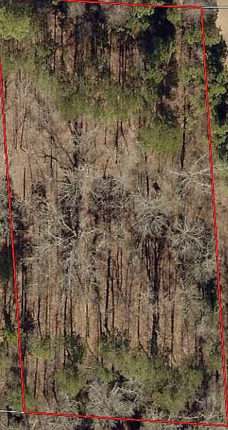 2nd image of 235 Natures Ln