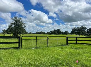 TBD NW 464B HIGHWAY, MORRISTON, FL 32668