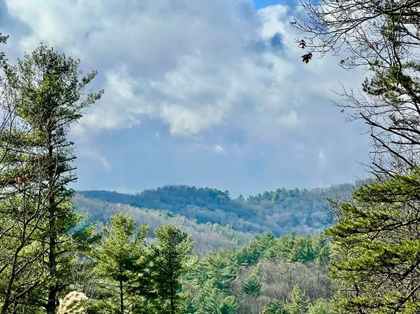 Stanley Creek Rd, Cherry Log, GA 30522