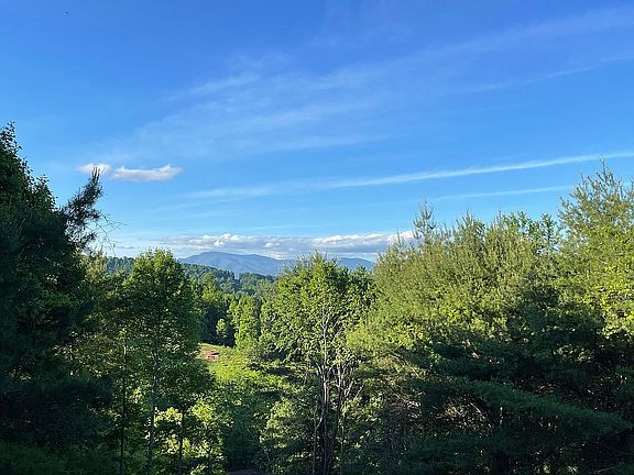 View from back porch 