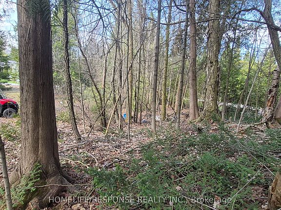 2nd image of 48 Waldweg